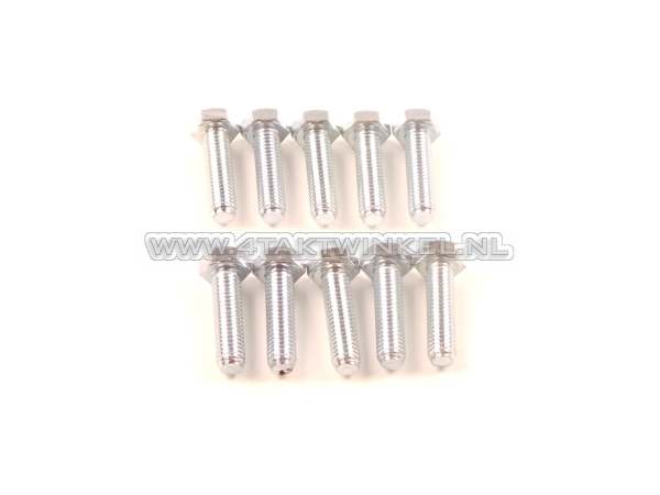 Bolt Hexagon, m8 x 30, key 13, per 10 pieces