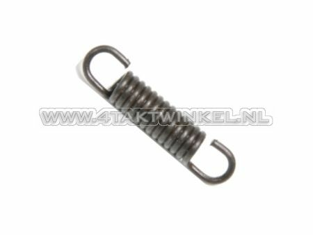 Brake shoe spring