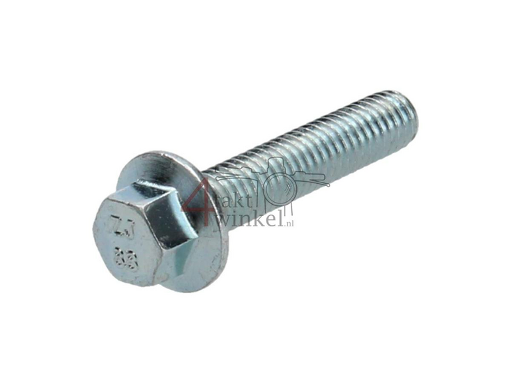 Bolt Hexagon, m6 x 30, key 8