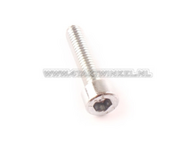 Bolt allen head m6 x 25