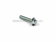 Bolt Hexagon, m6 x 30, key 8