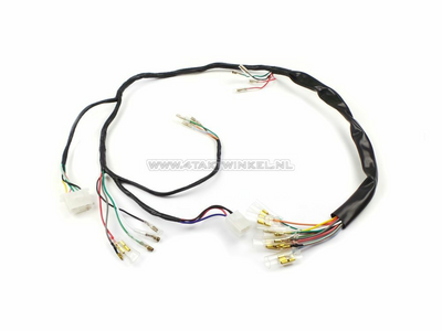 Wire harness, fits Dax OT 6v